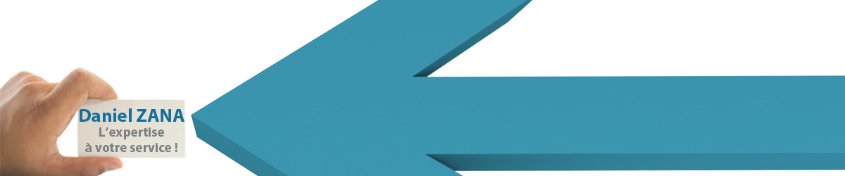 Zana Daniel, votre expert comptable !
